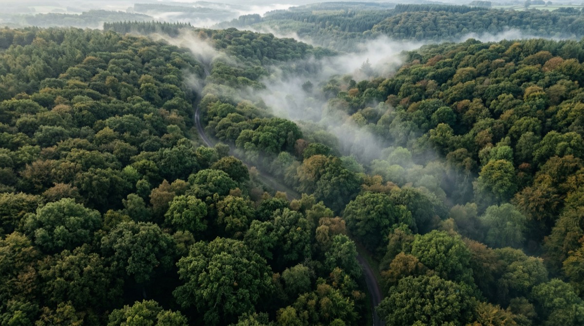 Drone filming over Gloucestershire